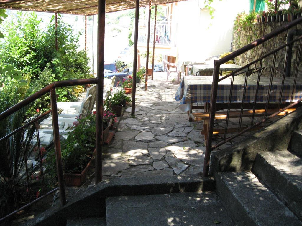 Apartments Olga Tivat Dış mekan fotoğraf