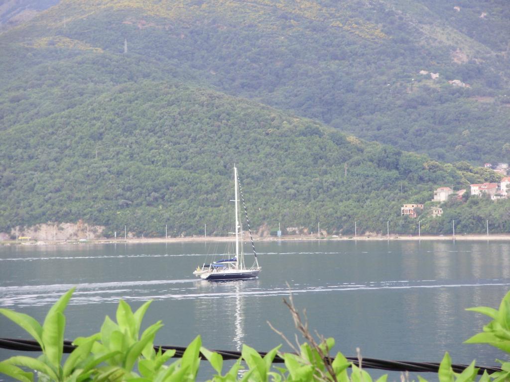 Apartments Olga Tivat Dış mekan fotoğraf