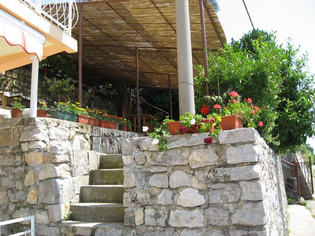 Apartments Olga Tivat Dış mekan fotoğraf
